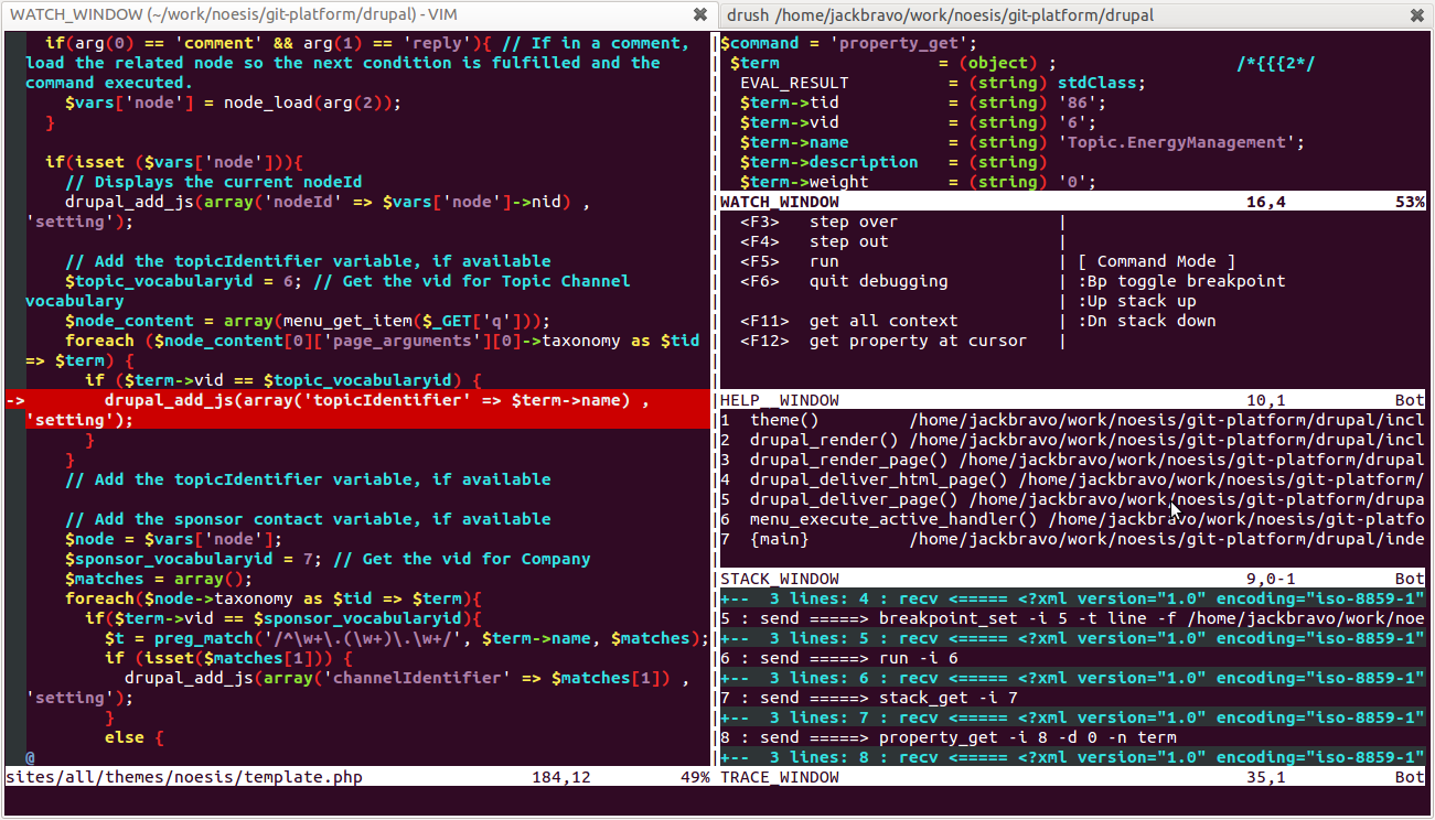 Vim Debugger