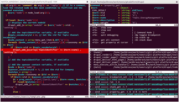 Vim Debugger